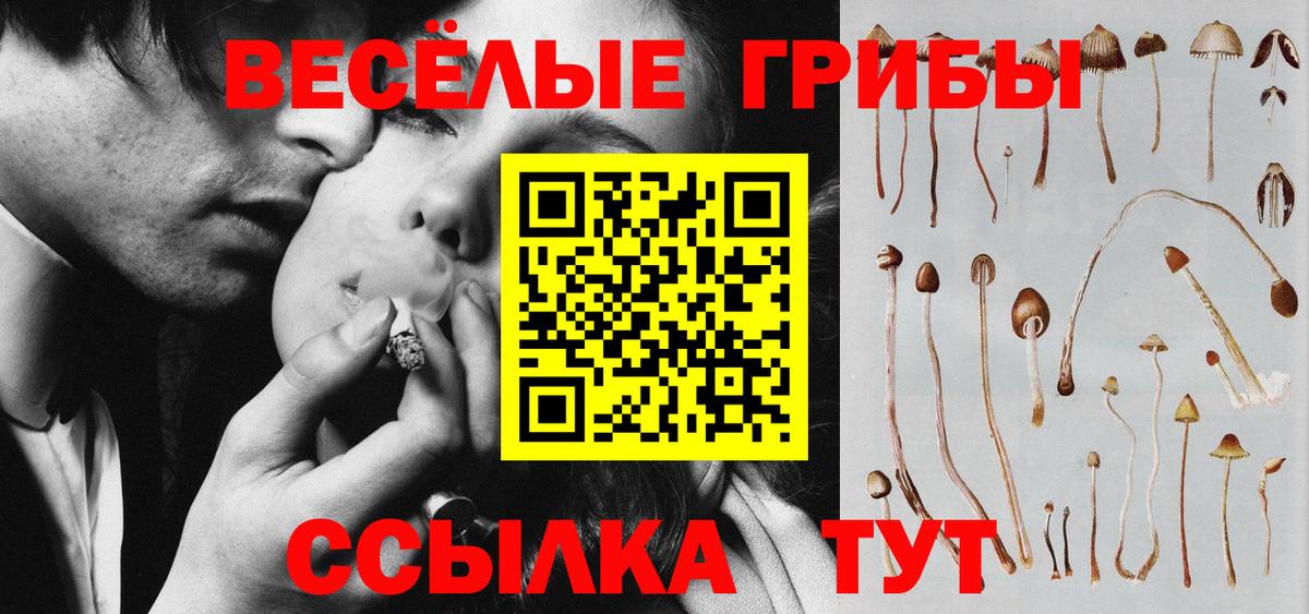 купить   Вход с VPN  Канск  Псилоцибиновые грибы MAGIC MUSHROOMS 