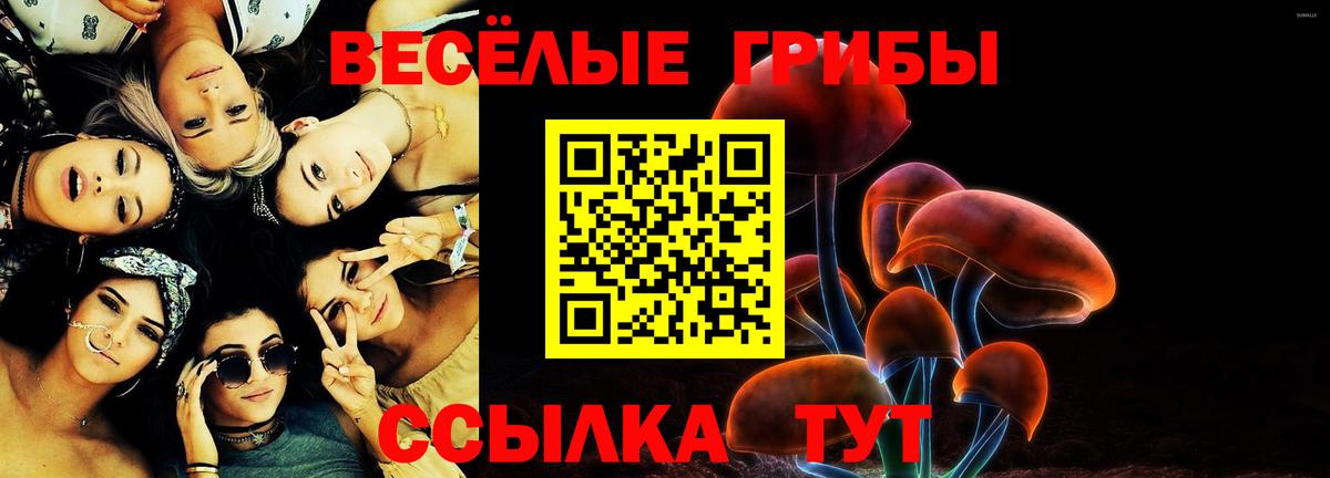 Псилоцибиновые грибы MAGIC MUSHROOMS Канск